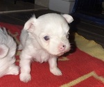Small #4 Breeder Profile image
