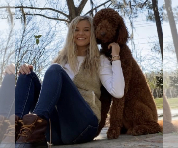 Medium Photo #1  Breeder Profile in LAKE PARK, GA, USA