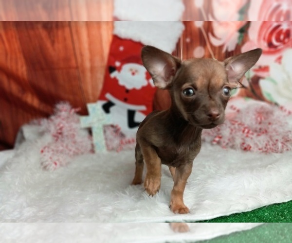 Medium Photo #7  Breeder Profile in CARTHAGE, TX, USA