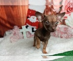 Small #6 Breeder Profile image