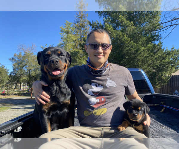 Medium Photo #1  Breeder Profile in NAPA, CA, USA