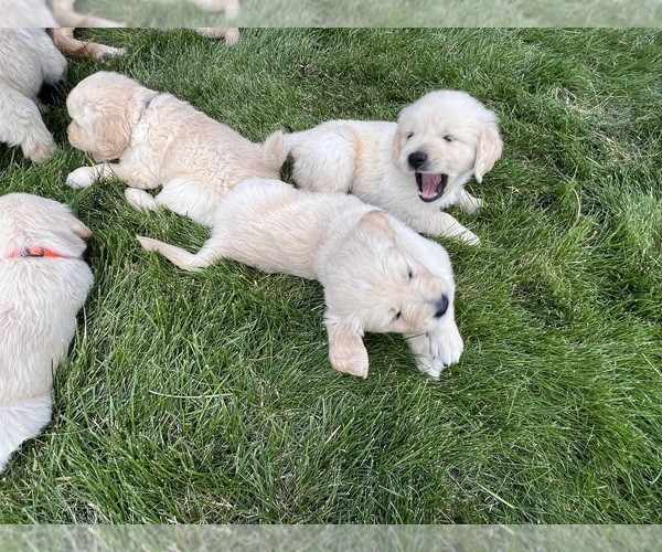 Medium Photo #3  Breeder Profile in ELLENSBURG, WA, USA