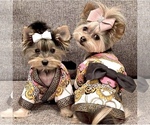 Small #14 Breeder Profile image