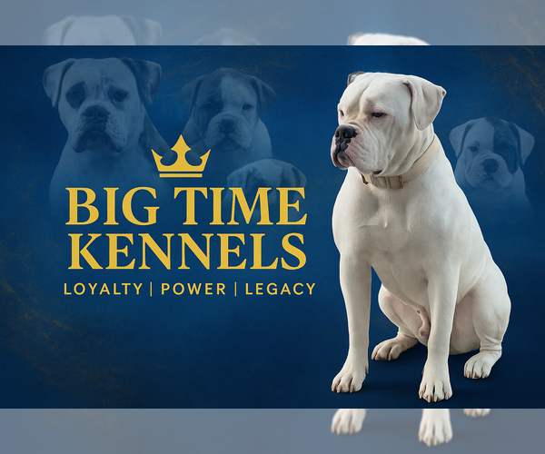 Medium Photo #1  Breeder Profile in WOODBURY, NJ, USA