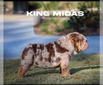 Small #2 Breeder Profile image