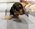 Small #5 Breeder Profile image