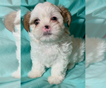 Small #5 Breeder Profile image