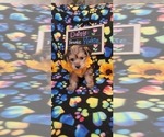 Small #225 Breeder Profile image