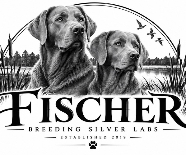 Medium Photo #1  Breeder Profile in MODESTO, CA, USA