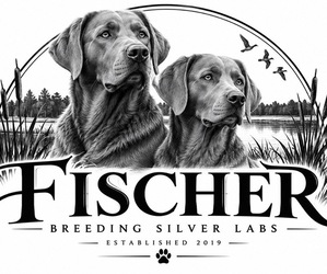 Medium Breeder Profile Photo