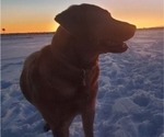 Small #14 Breeder Profile image