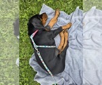 Small #4 Breeder Profile image