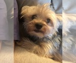 Small #10 Breeder Profile image