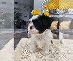 Small breeder photo