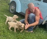 Small #9 Breeder Profile image