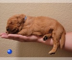Small #2 Breeder Profile image