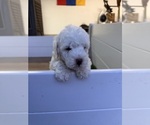 Small #5 Breeder Profile image