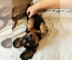 Small #4 Breeder Profile image