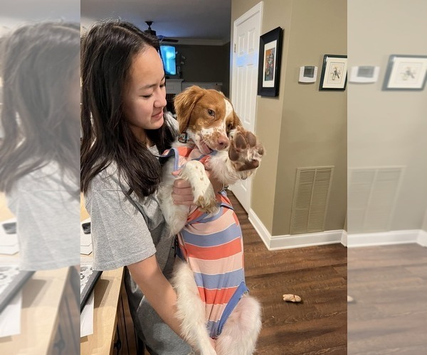 Medium Photo #56  Breeder Profile in HORTENSE, GA, USA