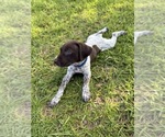 Small #27 Breeder Profile image