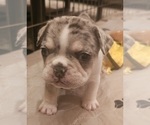 Small #37 Breeder Profile image