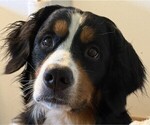 Small #5 Breeder Profile image