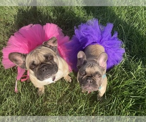 Medium Breeder Profile Photo