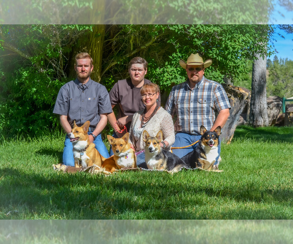 Medium Photo #1  Breeder Profile in OLATHE, CO, USA