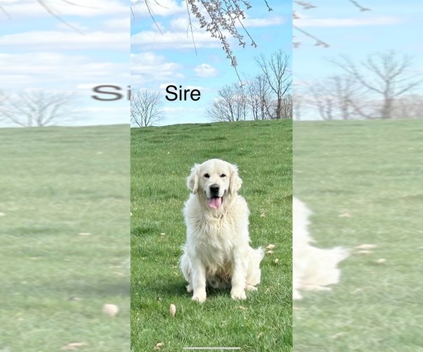 Medium Photo #6  Breeder Profile in WASHINGTON, IN, USA