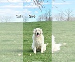 Small #5 Breeder Profile image