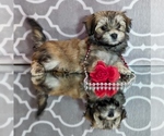 Small #14 Breeder Profile image