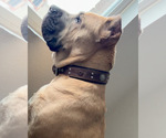 Small #23 Breeder Profile image