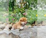Small #1 Breeder Profile image