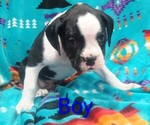 Small #1 Breeder Profile image