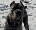 Small #14 Breeder Profile image