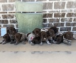 Small #1 Breeder Profile image