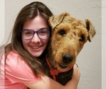 Small #11 Breeder Profile image