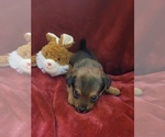 Small #133 Breeder Profile image