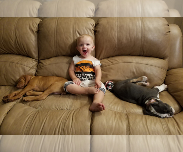 Medium Photo #1  Breeder Profile in BATH, PA, USA