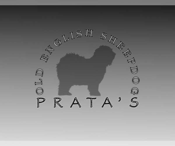 Medium Photo #1  Breeder Profile in FAIR GROVE, MO, USA
