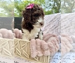 Small #6 Breeder Profile image