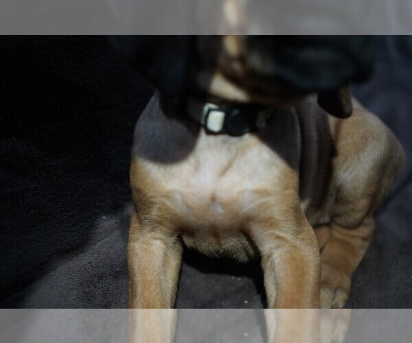 Medium Photo #5  Breeder Profile in ONEIDA, TN, USA