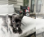 Small #19 Breeder Profile image