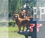Small #3 Breeder Profile image