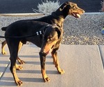 Small #5 Breeder Profile image