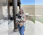 Small #24 Breeder Profile image
