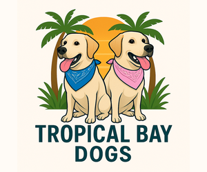 Labrador Retriever Dog Breeder near MIAMI, FL, USA