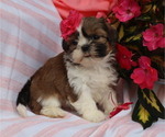Small #35 Breeder Profile image