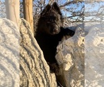 Small #173 Breeder Profile image