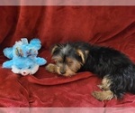 Small #126 Breeder Profile image